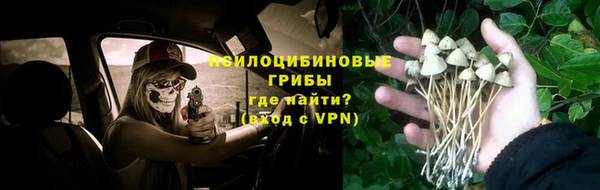 амф Алзамай