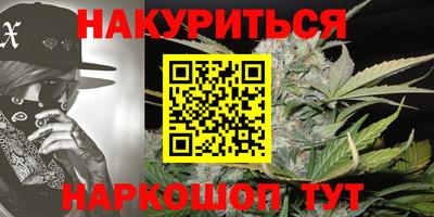 a pvp Бердск