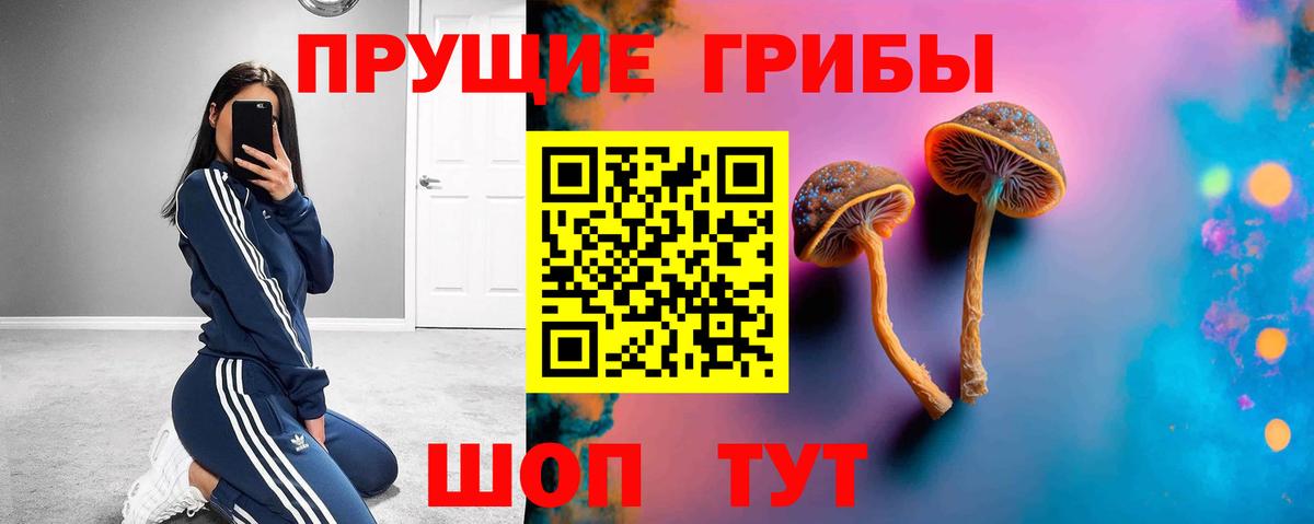 Алексеевка  Галлюциногенные грибы Magic Shrooms  купить закладку  Вход с VPN 