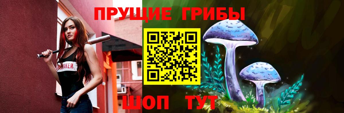 Псилоцибиновые грибы Cubensis Алексеевка