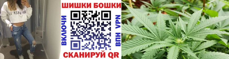 Канабис планчик Алексеевка